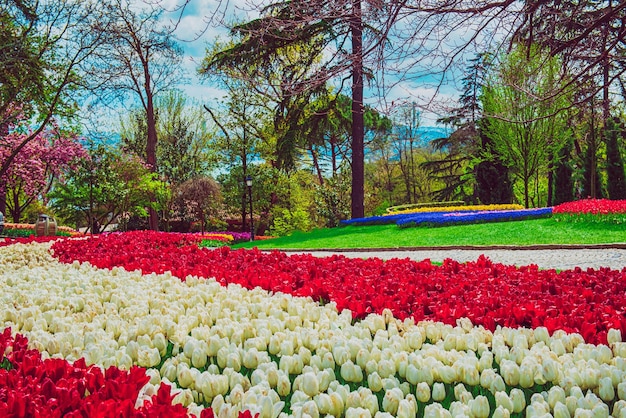 Emirgan Park Istanbul