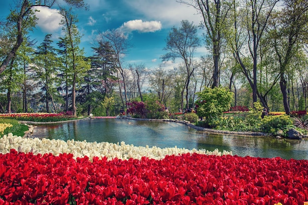 Emirgan Park Istanbul