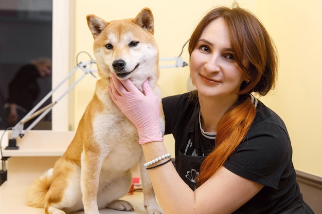 An employee of an animal beauty salon hugs a dog shiba inu