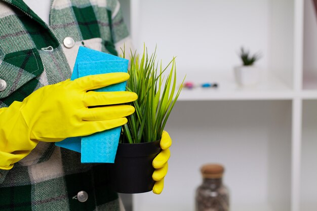 An employee of a cleaning company cleans the office and takes care of the plants