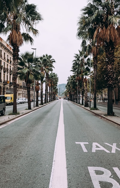 Empty asphalt road in European city