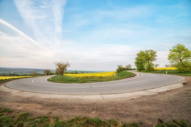 Empty asphalt road and floral field of yellow flowers