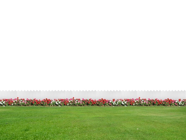 Empty backyard isolated on white background with copy space