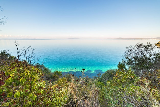 Empty beach in Maremma nature reserve Tuscany Italy Sand bay in natural park dramatic coast rocky headland and pine forest mediterranean sea blue waving water