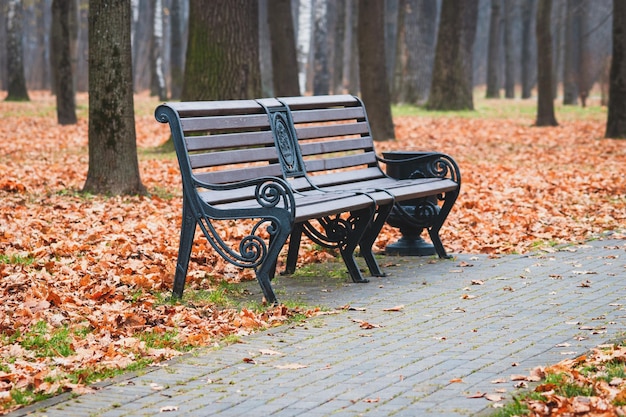 Empty bench in autumn city park gloomy autumn morning landscape