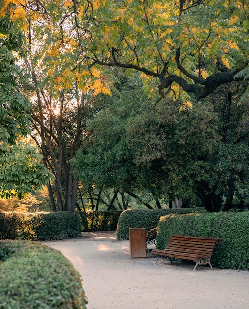 Photo empty bench by trees in park during autumn