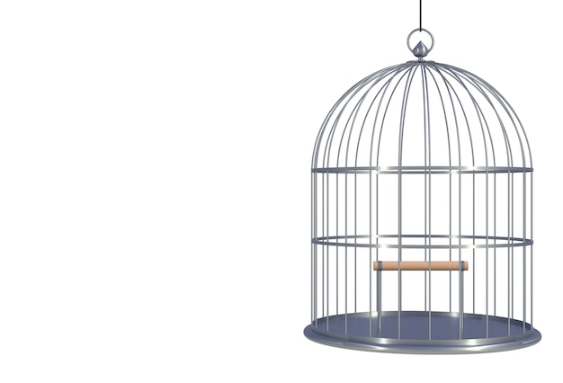 Empty bird chromium cage Isolated on white background