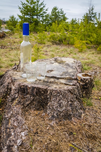 Empty bottle and two glasses in forest