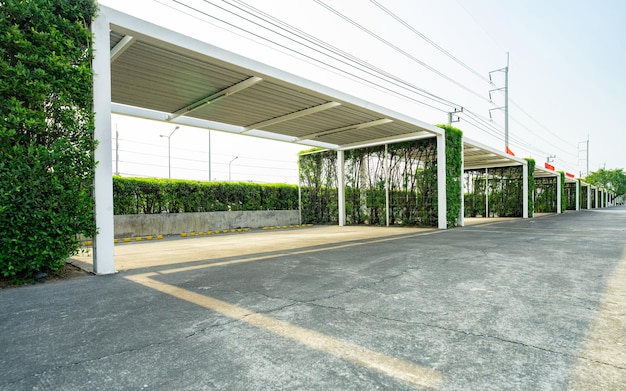 Empty car parking lot with green hedge tree fence Parking zone on sunny summer day and empty space