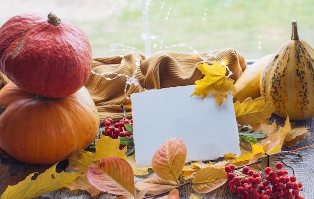 An empty card for text, mock up layout, an autumn greeting letter on an autumn background of yellow fallen leaves, orange pumpkins. Autumn mood and falling leaves