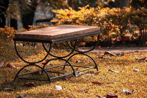 Empty chair in park on sunny day