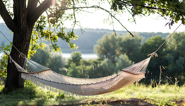 Photo empty comfortable hammock outdoors on sunny day