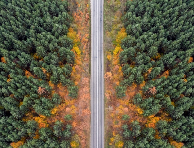 Empty country road in the autumn forest from a bird's eye view.