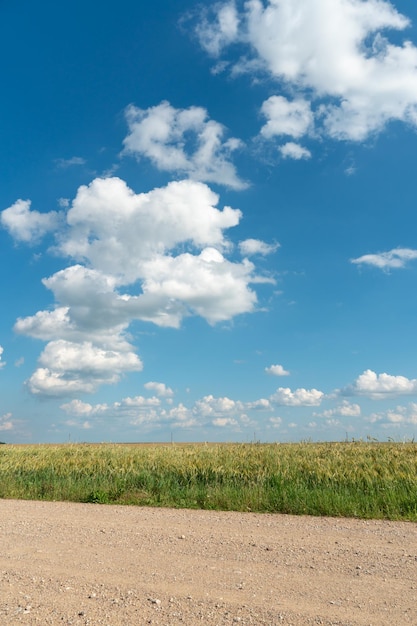 Empty dirt road through the fields Fluffy clouds on a warm summer Sunny day over a field of wheat Pure nature away from the big city Eco tourism