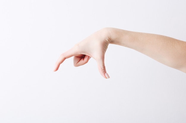 Empty female hand making gesture like holding something on white.