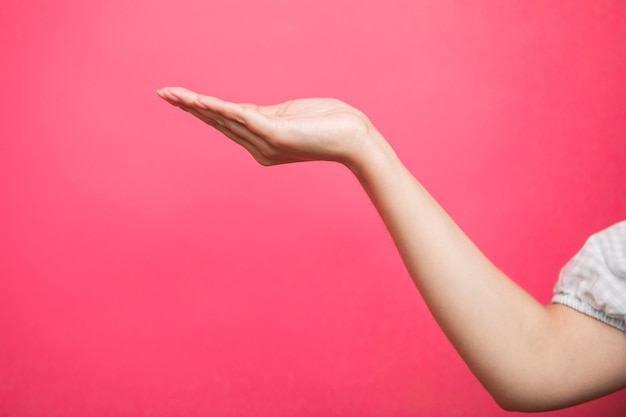 Empty female hand pretending holding something, isolated on pink background