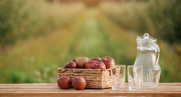 Empty glass for apple juice and basket with apples on wooden table with natural orchard background Vegetarian fruit composition