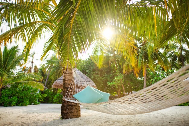 Empty hammock in the shade of palm trees on tropical island beach. Relaxational, inspire freedom