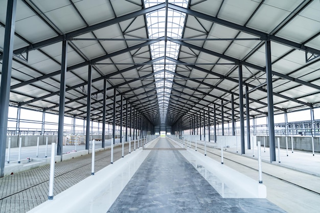 Empty hangar for cows Large agricultural cowshed