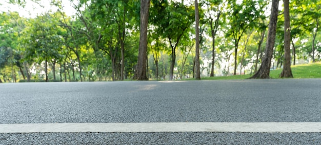 Empty highway asphalt road in landscape green park