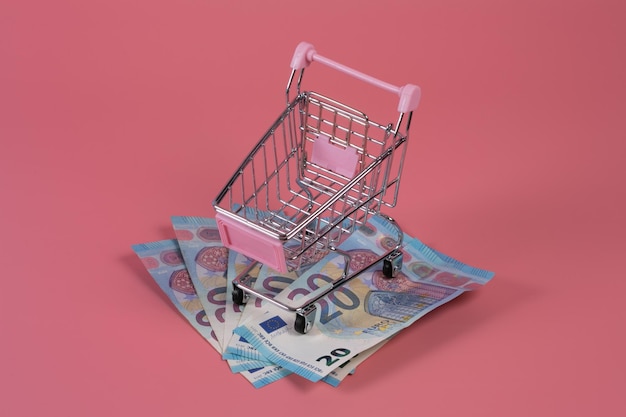 Empty mini supermarket trolley over a handful of euro banknotes