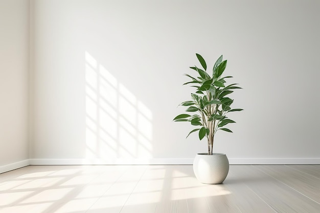 empty minimalist living room with green plant