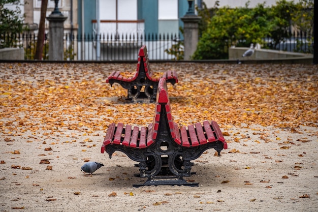 Empty old red benches in city autumn park with fallen leaves