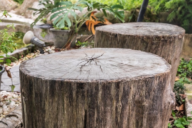 Empty old tree stump table top with blur green tropical garden background for product display