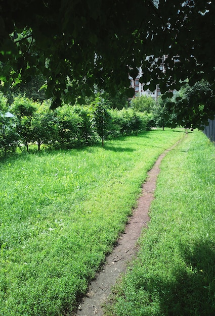 Empty park path nature background