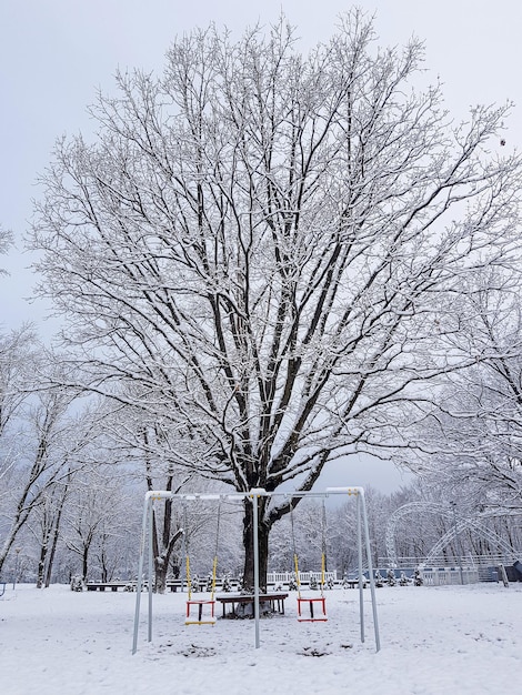 An empty park with a children's swing in the snow and a big old tree on a cold winter morning