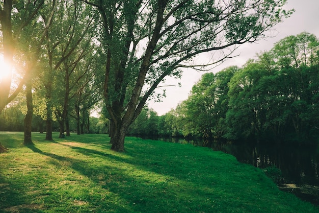 empty park