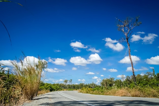 Empty paved road in southern Cambodia