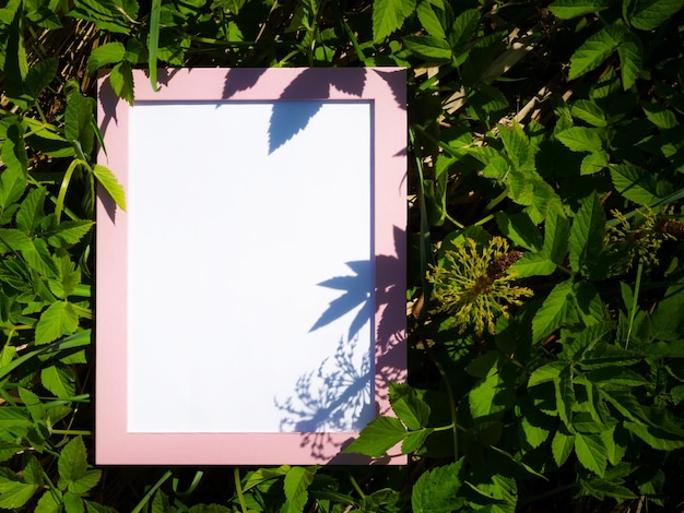 Empty pink frame on real nature background creative idea with empty frame for your ideas