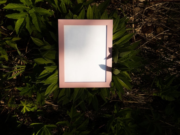 Empty pink frame on real nature background creative idea with empty frame for your ideas