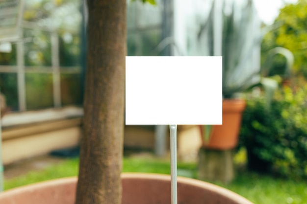 Empty plant label billboard in herbs pot fresh eco nature plant growing in the herb garden summer na