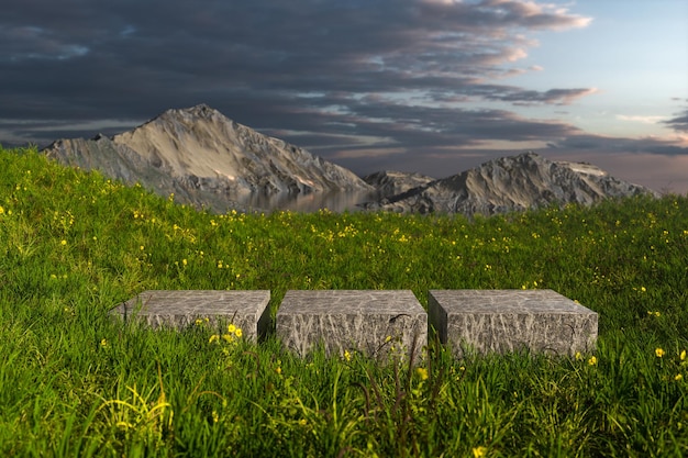 Empty platform in the grass field 3d rendering