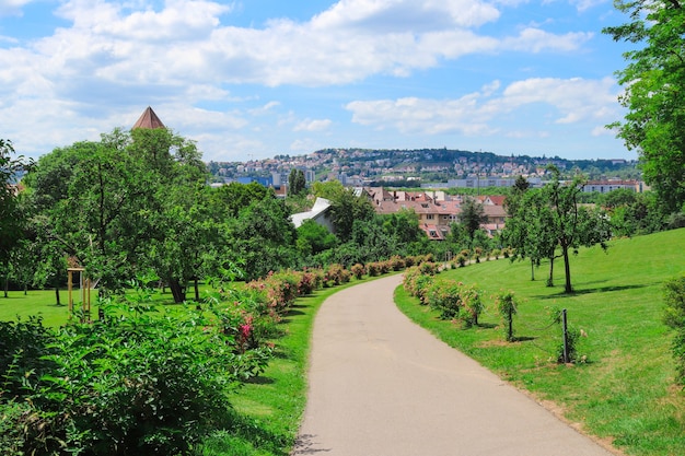 Empty promenade in a beautiful city park with city view on a sunny summer day.