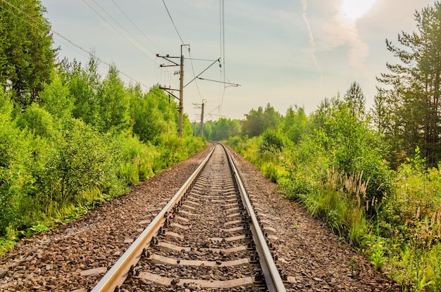 Photo an empty railway path passing through the forest on a summer day.