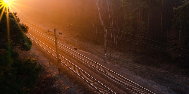 Empty railway track in the forest at sunset or dawn