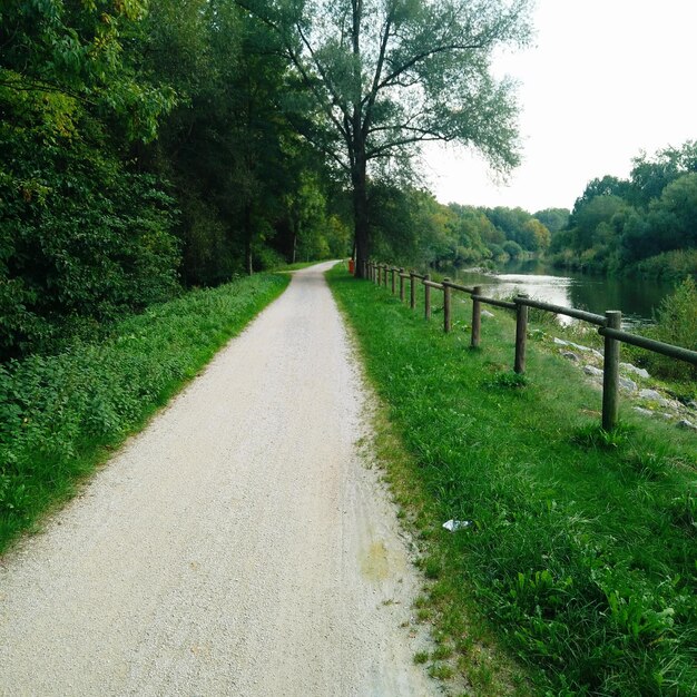 Photo empty road along trees