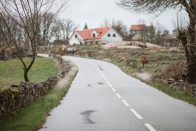 Photo empty road amidst houses and trees in city