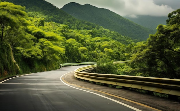 an empty road next to a forest in the mountains in the style of focus on joints connections