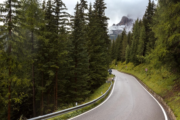 Empty road at the mountains through the pine forest, Dolomites Italy