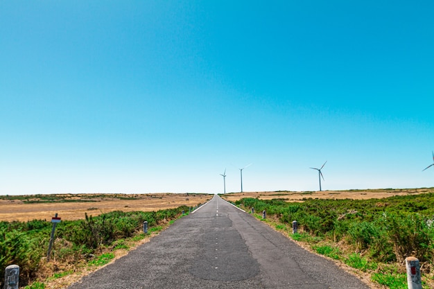 Empty road on a plateau on the island of Madeira. Paul Serra.