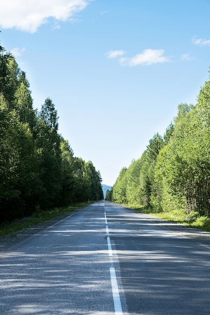 Empty road Speedway without cars in mountains amid pine forests Adventure or road trip background