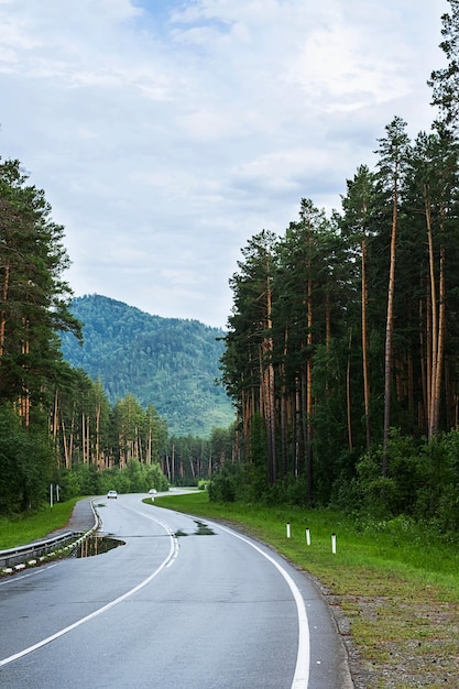 Empty road Speedway without cars in mountains amid pine forests Adventure or road trip background