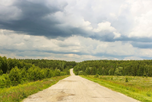 Empty road through the woods and ravines in cloudy weather