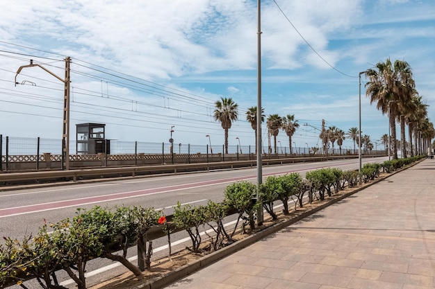 Empty road with palms and power transmission lines on sides in Vilassar de Mar Modern avenue across city under sky with light clouds