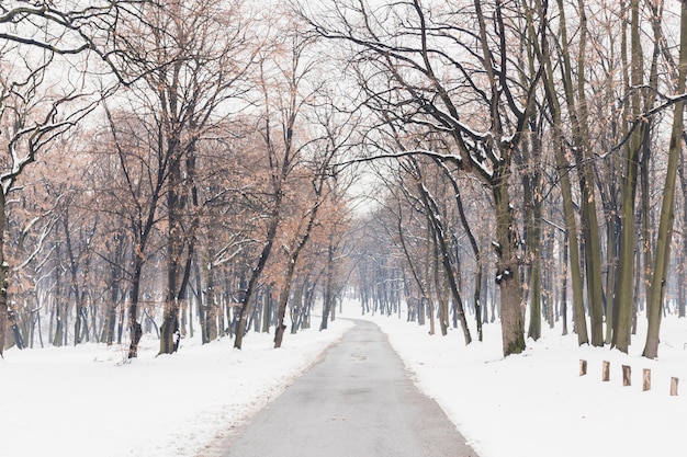 Empty road with snow covered landscape in winter