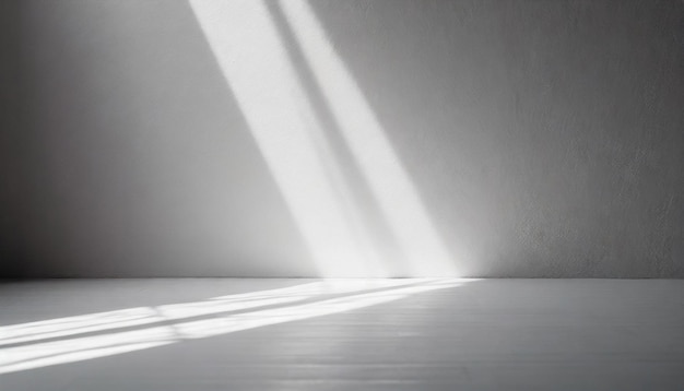 empty room bathed in ethereal white light casting gentle shadows on pristine floor capturing tranq